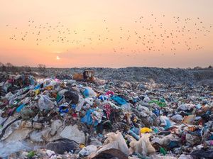 Sampah di RI 2020 Capai 67,8 Ton, Pilah Sampah Bisa Selamatkan Bumi