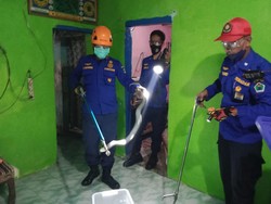 2 Warga Kota Malang Disembur Ular Kobra