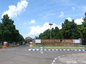 20 Jurusan Sepi Peminat di Universitas Jember, Fisika hingga Matematika 20 Jurusan Sepi Peminat di Universitas Jember, Fisika hingga Matematika