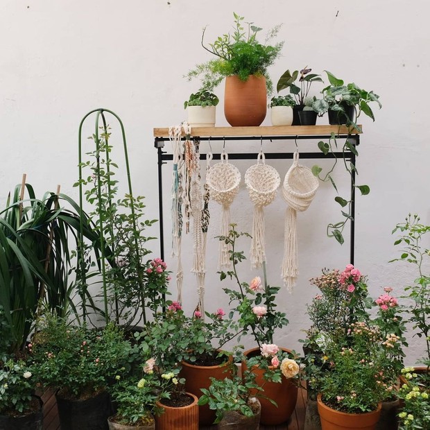 Cara memajang tanaman hias bisa diletakkan di pot atau buat sendiri terrarium.