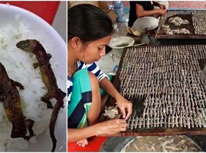 Ekstrem! Rice Bowl Ini Lauknya Cicak Panggang dan Belatung