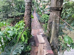 Jembatan Gantung nan Lapuk di Srengseng Sawah Ada Sejak 20 Tahun Lalu