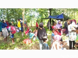 Tanah Amblas hingga 8 Meter Usai Gempa Maluku Tengah M 6