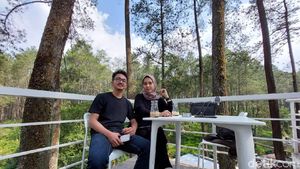 Menikmati Kopi dan Sejuknya Hutan Pinus di Lembang