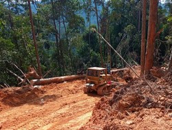 KLHK Tangkap Pembalak Liar di Habitat Harimau Sumatera, Alat Berat Disita