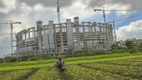 JIS juga merupakan stadion pertama yang menggunakan rumput hybrid turf. Rumput hibrida merupakan perpaduan lima persen rumput sintesis yang diimpor dari Italia dan 95 persen rumput natural jenis rumput Zoysia Matrella.