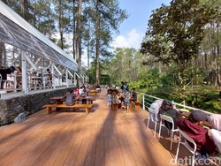 Ngopi di Tengah Hutan Pinus Lembang? Ini Tempatnya