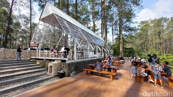 Foto: Warung Kopi Gunung di Tengah Hutan Pinus Lembang