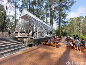Foto: Warung Kopi Gunung di Tengah Hutan Pinus Lembang Foto: Warung Kopi Gunung di Tengah Hutan Pinus Lembang
