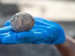 Wow! Telur Ayam Berusia Ribuan Tahun Ini Awet Berkat Kotoran Manusia