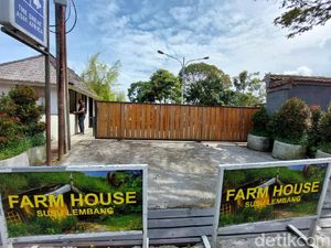 Wisata Lembang Bandung Ditutup, Pengunjung Mau Tidak Mau Balik Kanan Wisata Lembang Bandung Ditutup, Pengunjung Mau Tidak Mau Balik Kanan