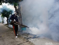 Chikungunya Mewabah di Mojokerto, 1.282 Orang Terjangkit Sejak Awal Tahun
