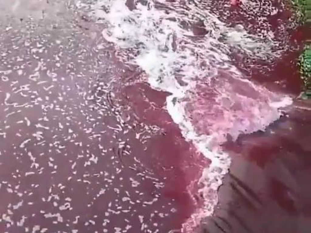 Kali di Tangerang Diviralkan Berwarna Merah, Begini Penelusuran Dinas LH Kali di Tangerang Diviralkan Berwarna Merah, Begini Penelusuran Dinas LH