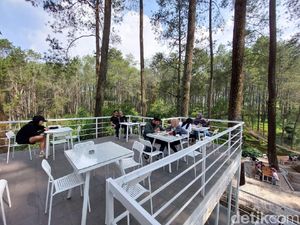 Di Warung Kopi Gunung, Bisa Nongkrong dan Ngopi di Tengah Hutan yang Sejuk