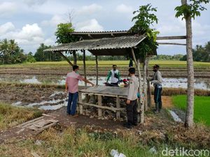 Bayi Laki-laki Ditemukan Masih Hidup di Gubuk Pinggir Sawah Banyuwangi Bayi Laki-laki Ditemukan Masih Hidup di Gubuk Pinggir Sawah Banyuwangi