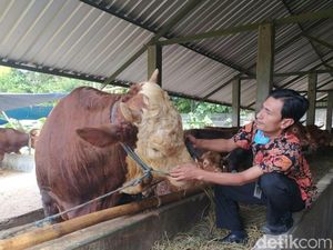 Daging dan Ternak dari Tulungagung Dilarang Masuk Blitar Jelang Idul Adha