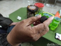 Batu Bergerak Sendiri di Jember Diduga Properti Sulap