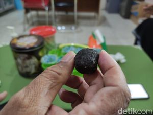 Batu Bergerak Sendiri di Jember yang Sempat Bikin Heboh Batu Bergerak Sendiri di Jember yang Sempat Bikin Heboh