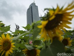 Fenomena Aphelion Disebut Bawa Suhu Dingin, Ini Penjelasannya?