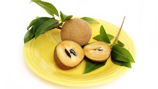 Sapodilla, Manikara Zapota, is a popular fruit in Mexico, South America, the Caribbean, and Middle Eastern countries like India and Pakistan. Also known as sapota, zapota, and chikoo. This image shows a sliced fuit in foreground with seeds in one side. A whole, uncut fruit is in the background, The fruit is on a yellow platter and surrounded by several sapodilla tree leaves. Fruit is very sweet when ripe and has a malty, caramel flavor.