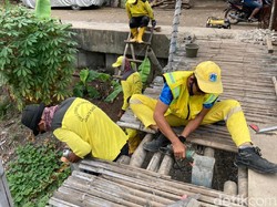 Jembatan Bambu Reyot Mulai Dibongkar Pasukan Kuning