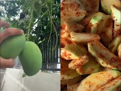 Segerrr! Ini Cara Bikin Rujak Mangga yang Viral di TikTok