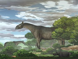 Fosil Badak Raksasa dengan Berat 4 Kali Gajah Afrika Ditemukan di China