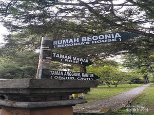 Mau Piknik di Kebun Raya Bali, di Sana Ada Paket Barbekunya!