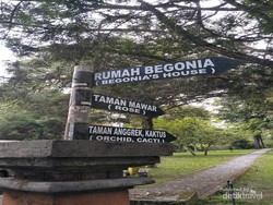 Mau Piknik di Kebun Raya Bali, di Sana Ada Paket Barbekunya!