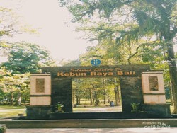 Satu Lagi yang Hijau dari Bali, Hutan Botani