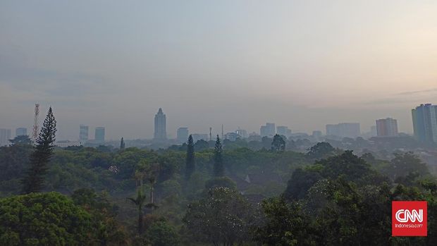Realme 8 Hasil foto Realme 8
