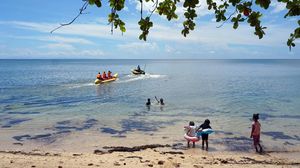 Seperti Ini Jernihnya Pantai di Papua Barat