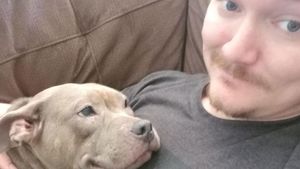 Potret Tatapan Mata Romantis Hewan ke Pemiliknya