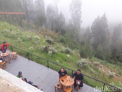Surga Mungil dari Bromo, Kebun Edelweis Wonokitri