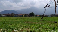 Lapangan sepakbola Rancabango terletak di Kabupaten Garut, Jawa Barat. Tepatnya di Jalan Rancabango, Desa Cimanganten, Kecamatan Tarogong Kaler. (Foto: dok. detikcom/Hakim Ghani)