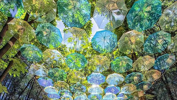 Potret Viral Bukti Jepang Beda dengan Negara Lain