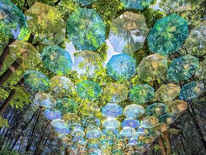 Potret Viral Bukti Jepang Beda dengan Negara Lain