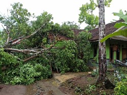 Belasan Rumah di Lakbok Ciamis Rusak Diterjang Puting Beliung