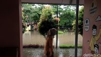 RPTRA Taman Jangkrik Terendam Imbas Hujan Deras