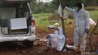 Corona Menggila, Tukang Gali Kubur di Bekasi Merana