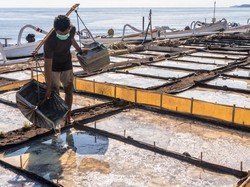 Dukung Pemulihan Ekonomi, BRI Jaring 350 Desa di Program Desa BRILiaN