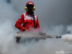 Mengendalikan DBD dengan Nyamuk Wolbachia, Setuju atau Tidak? Polling Yuk