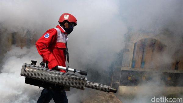 Melihat Pencegahan Demam Berdarah di Kala Pandemi