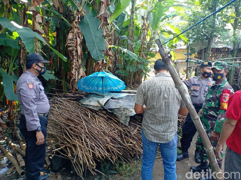 Bayi Masih Hidup Ditemukan di Tumpukan Kayu Berpayung Biru di Mojokerto Bayi Masih Hidup Ditemukan di Tumpukan Kayu Berpayung Biru di Mojokerto