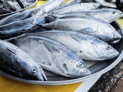 Harga Sembako Jogja Hari Ini 23 Oktober 2024: Ikan Tongkol Rp32.500 Sekilo