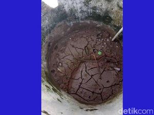 Sumur-sumur di Saunulu Malteng Kering Usai Gempa M 6, Air Bersih Sulit