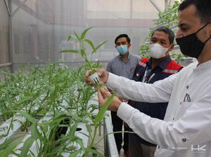Cetak Wirausaha Muda, HK Dukung Aquaponic Greenhouse