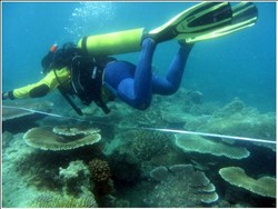 Asyik, Mahasiswa Bisa Belajar Menyelam di Fakultas Perikanan dan Ilmu Kelautan Undip