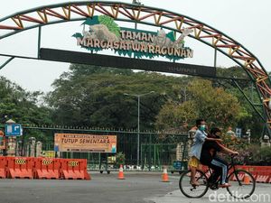 PPKM Diperpanjang Terus, Satwa Ragunan Kangen Wisatawan Nggak Ya?