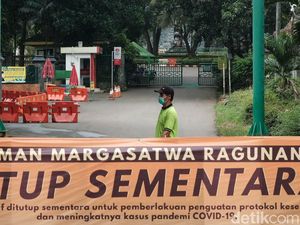 Rindu ke Ragunan? Ikuti Wisata Virtualnya Saat PPKM